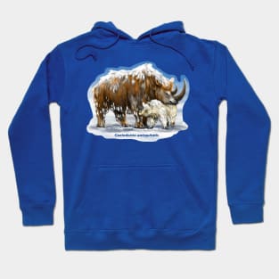 The woolly rhinoceros Coelodonta antiquitatis, Pleistocene Hoodie